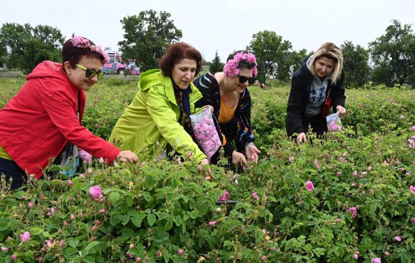 ısparta gül hasatı ve ışıklıgöl turu